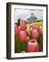 Lewis Ginter Botanical Garden, Richmond, Virginia, United States of America, North America-Snell Michael-Framed Photographic Print