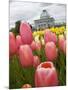 Lewis Ginter Botanical Garden, Richmond, Virginia, United States of America, North America-Snell Michael-Mounted Photographic Print