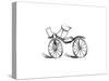 Lewis Gompertz's Improvement on Baron Von Drais's Bicycle, 1821-null-Stretched Canvas