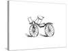 Lewis Gompertz's Improvement on Baron Von Drais's Bicycle, 1821-null-Stretched Canvas