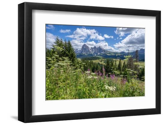 Premium Photographic Print, , large