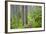 Lewis River, Gifford Pinchot National Forest, Washington, USA-Jamie & Judy Wild-Framed Photographic Print