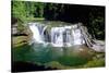 Lewis River Lower Falls-Douglas Taylor-Stretched Canvas