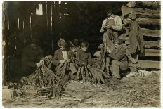 Shuckers Aged About 10 Opening Oysters in the Varn and Platt Canning Company-Lewis Wickes Hine-Photographic Print