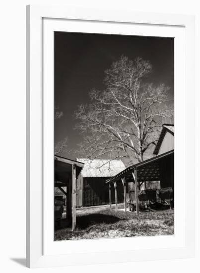 Lewiston Farm I-Alan Hausenflock-Framed Photographic Print