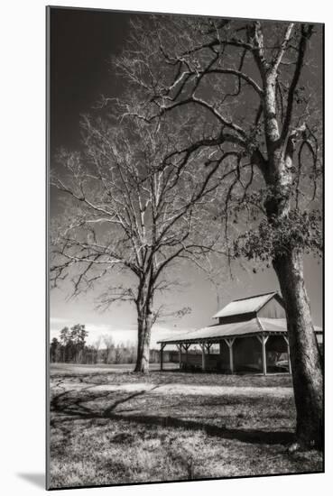 Lewiston Farm II-Alan Hausenflock-Mounted Photographic Print