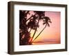 Lewolin Village, Illi Api Island, Selat Boleng Strait, Indonesia-Stuart Westmorland-Framed Photographic Print