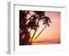 Lewolin Village, Illi Api Island, Selat Boleng Strait, Indonesia-Stuart Westmorland-Framed Photographic Print