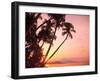 Lewolin Village, Illi Api Island, Selat Boleng Strait, Indonesia-Stuart Westmorland-Framed Photographic Print