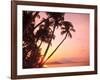 Lewolin Village, Illi Api Island, Selat Boleng Strait, Indonesia-Stuart Westmorland-Framed Photographic Print