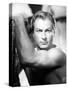 Lex Barker-null-Stretched Canvas