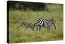 Stretched Canvas