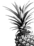 Pineapple (BW)-Lexie Greer-Photographic Print