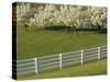 Lexington, Kentucky, USA-null-Stretched Canvas