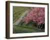 Lexington, Kentucky, USA-null-Framed Photographic Print