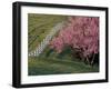 Lexington, Kentucky, USA-null-Framed Photographic Print