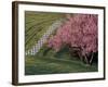 Lexington, Kentucky, USA-null-Framed Photographic Print