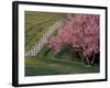 Lexington, Kentucky, USA-null-Framed Photographic Print