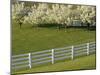 Lexington, Kentucky, USA-null-Mounted Photographic Print