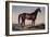 Lexington, The Celebrated Horse-Currier & Ives-Framed Giclee Print