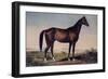 Lexington, The Celebrated Horse-Currier & Ives-Framed Giclee Print