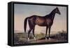 Lexington, The Celebrated Horse-Currier & Ives-Framed Stretched Canvas