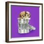 Lhasa Apso and Shih Tzu Puppies in a Dustbin-null-Framed Photographic Print