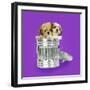 Lhasa Apso and Shih Tzu Puppies in a Dustbin-null-Framed Photographic Print