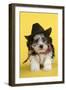 Lhasa Apso Cross Puppy (7 Weeks Old) in Cowboy Outfit-null-Framed Photographic Print