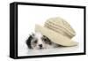 Lhasa Apso Cross Puppy (7 Weeks Old) under Hat-null-Framed Stretched Canvas