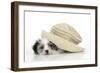 Lhasa Apso Cross Puppy (7 Weeks Old) under Hat-null-Framed Photographic Print