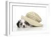 Lhasa Apso Cross Puppy (7 Weeks Old) under Hat-null-Framed Photographic Print