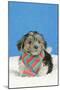 Lhasa Apso Cross Puppy (7 Weeks Old)-null-Mounted Photographic Print