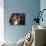 Lhasa Apso Face Portrait-Adriano Bacchella-Photographic Print displayed on a wall