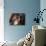 Lhasa Apso Face Portrait-Adriano Bacchella-Mounted Photographic Print displayed on a wall