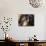 Lhasa Apso Face Portrait-Adriano Bacchella-Mounted Photographic Print displayed on a wall