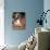 Lhasa Apso Puppy Portrait-Adriano Bacchella-Photographic Print displayed on a wall