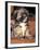 Lhasa Apso Puppy Portrait-Adriano Bacchella-Framed Photographic Print