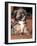 Lhasa Apso Puppy Portrait-Adriano Bacchella-Framed Photographic Print