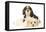 Lhasa Apso Puppy with Cavalier King Charles-null-Framed Stretched Canvas