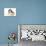 Lhasa Apso Puppy with Cavalier King Charles-null-Photographic Print displayed on a wall