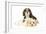 Lhasa Apso Puppy with Cavalier King Charles-null-Framed Photographic Print