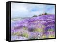 Canvas Black