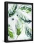Essential Black