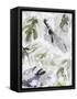 Canvas Black