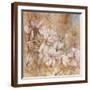 Brown Frame