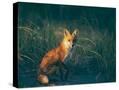 Stretched Canvas