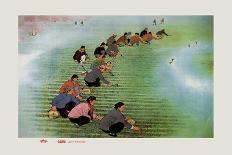 Spring Cultivation-Li Feng-lin-Art Print