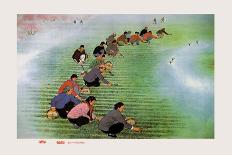 Spring Cultivation-Li Feng-lin-Laminated Premium Giclee Print