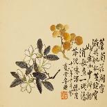 A Page (Flower) from Flowers and Bird, Vegetables and Fruit-Li Shan-Giclee Print